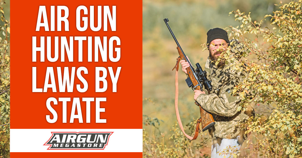 Air Gun Hunting Laws by State Updated for 2020